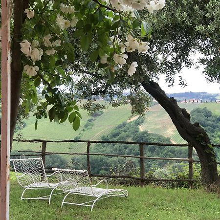 Agriturismo Campoletizia Miglianico Exterior foto